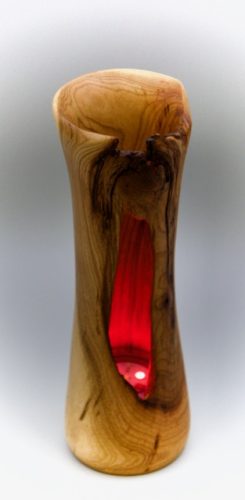 DSC 6560 Pierre Amyotte