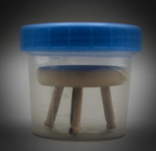 DSC 6578 Bert Deslile